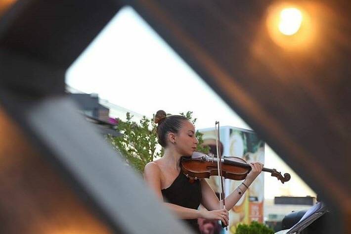 Violín