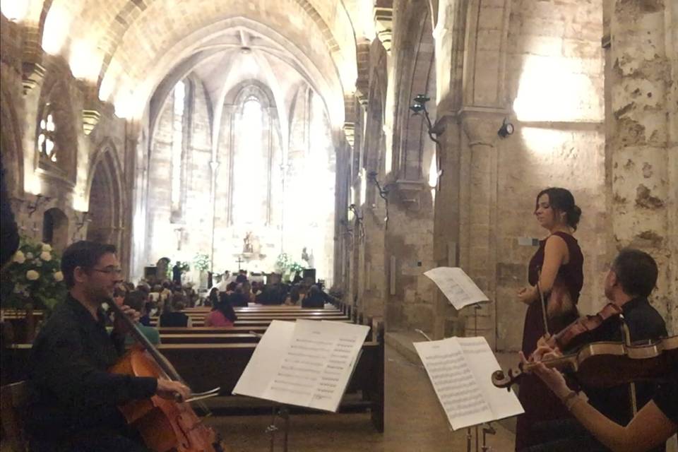 Scordatura Quartet
