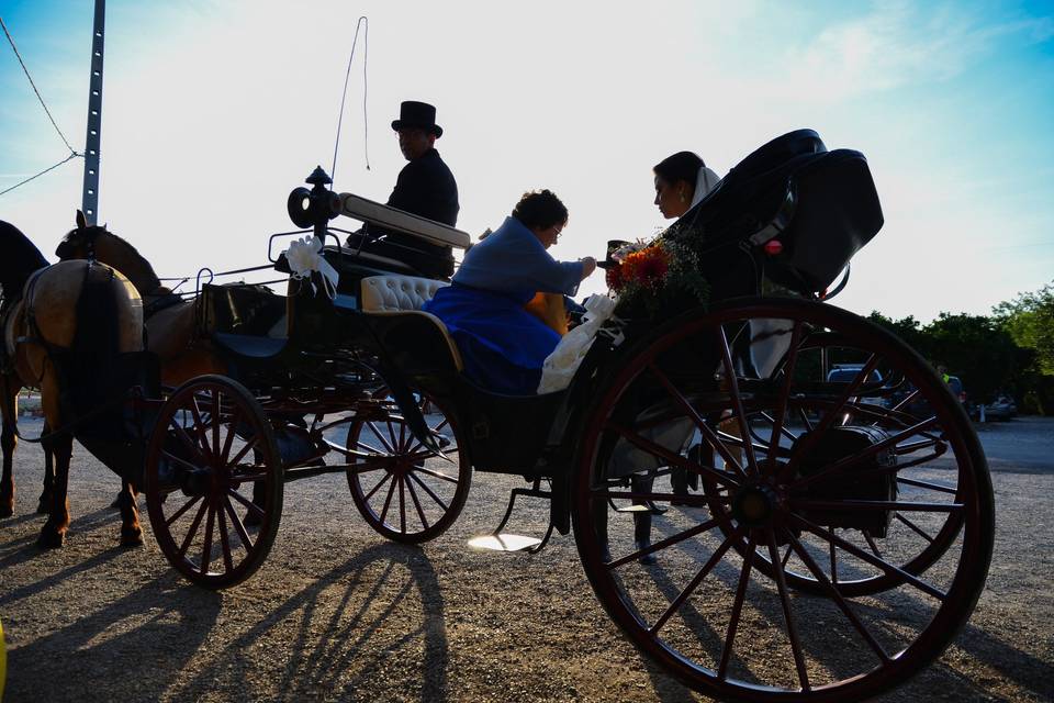 Coche de caballos