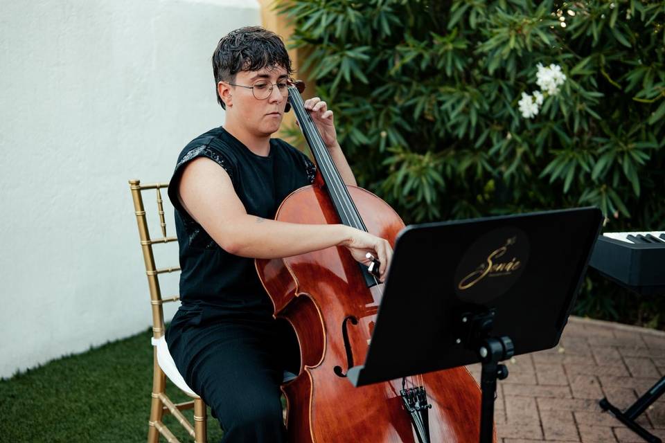 Violonchelo