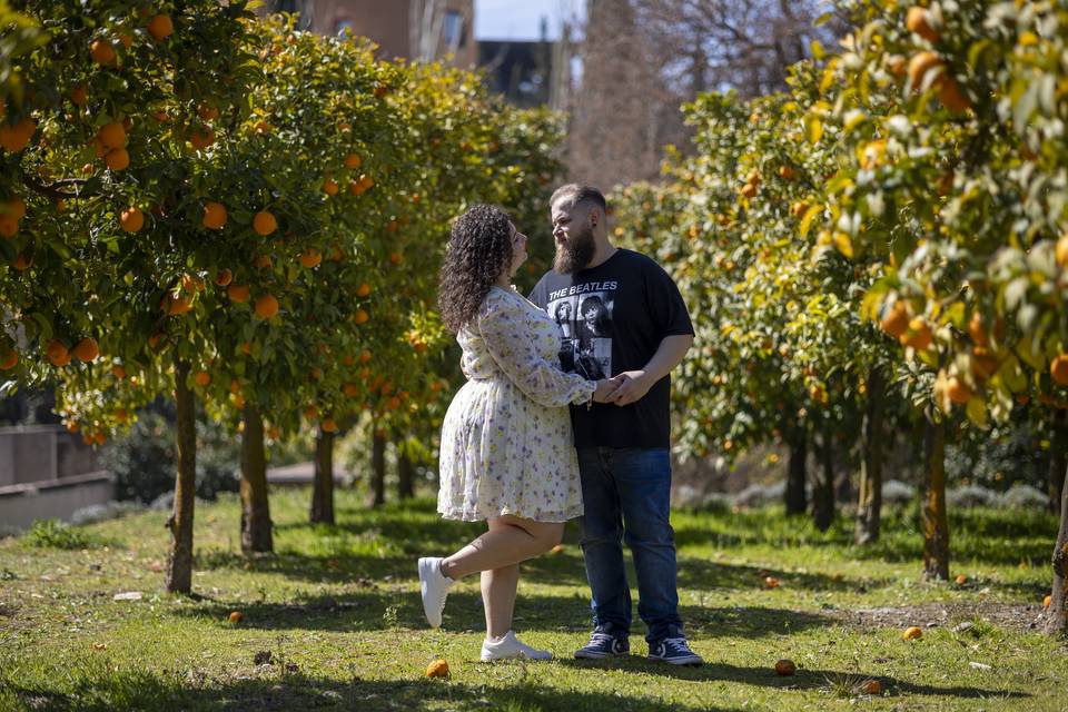 Preboda, Alhambra