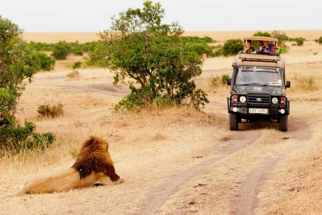 Safaris