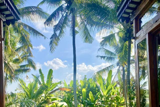 Bali exclusivo