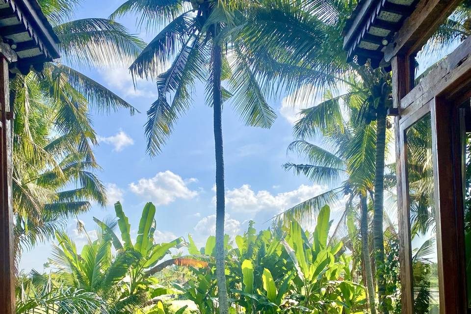 Bali exclusivo