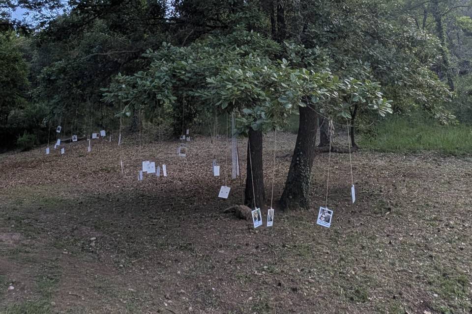 Decoracions de camí