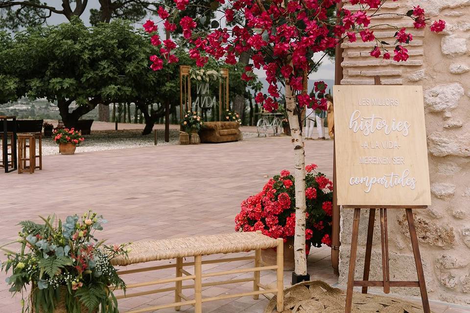 Boda