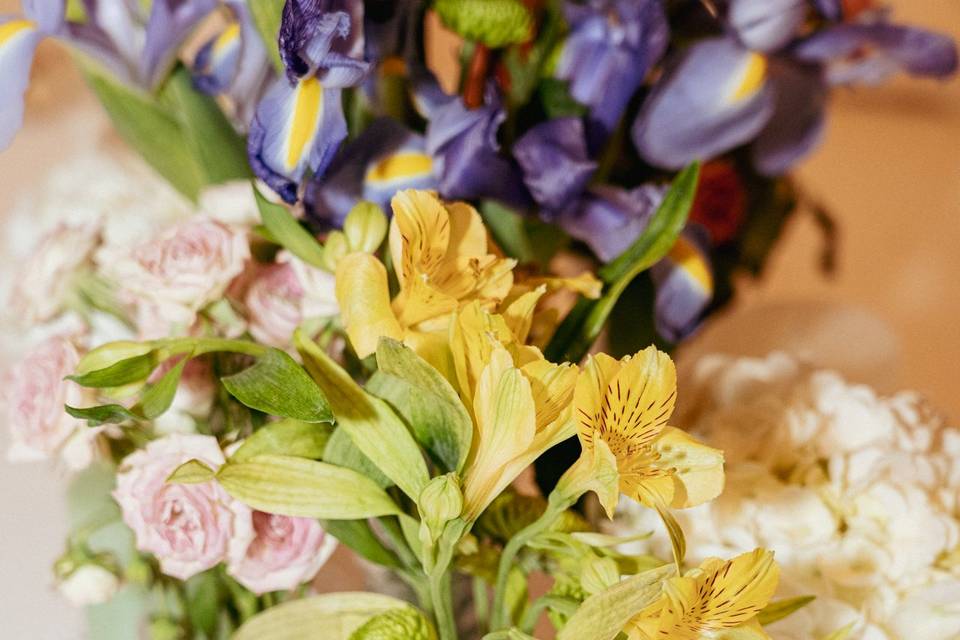 Flores