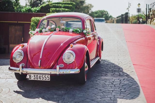 Coche único