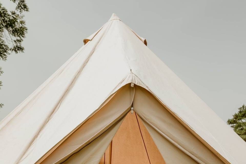 Tipi