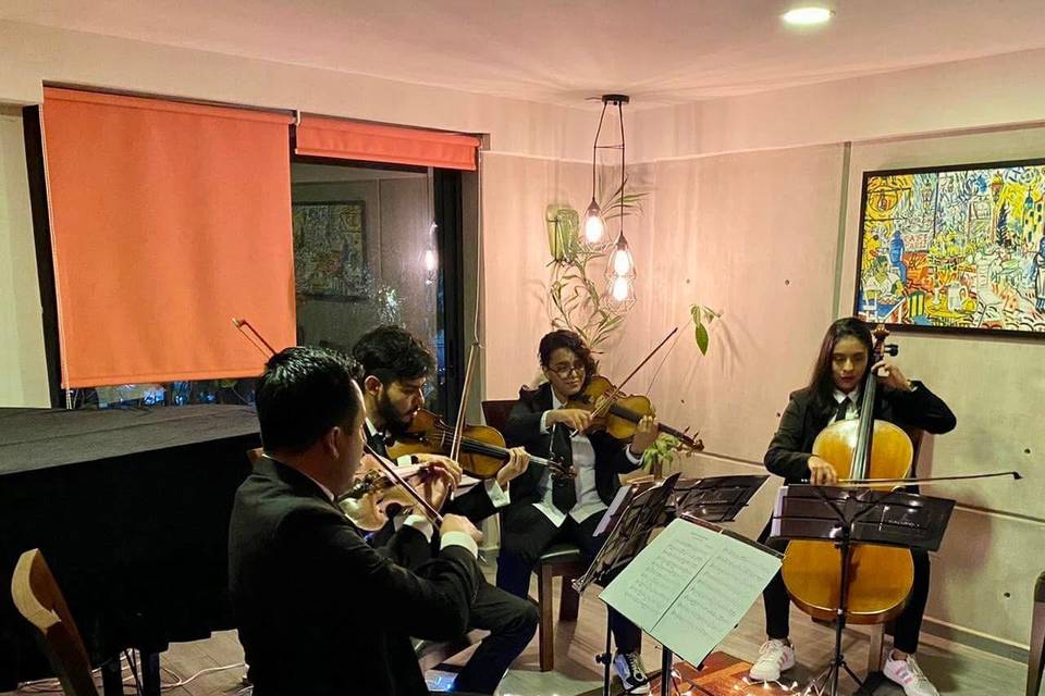 Concierto privado