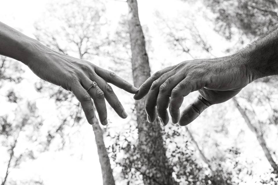 El anillo si importa