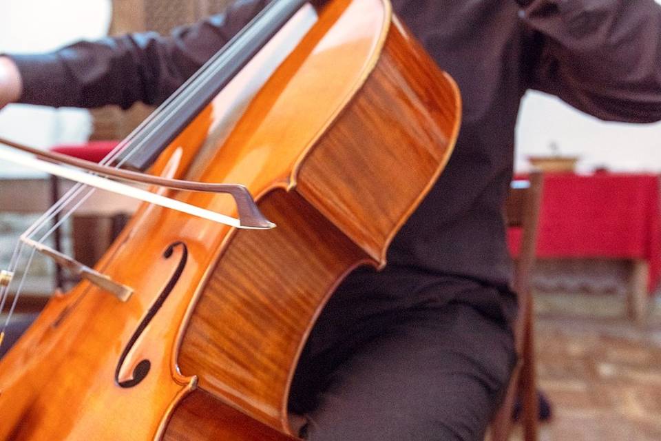 Violín