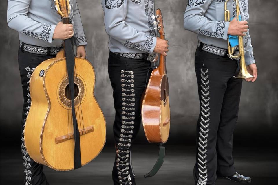 Mariachi Juvenil Mérida