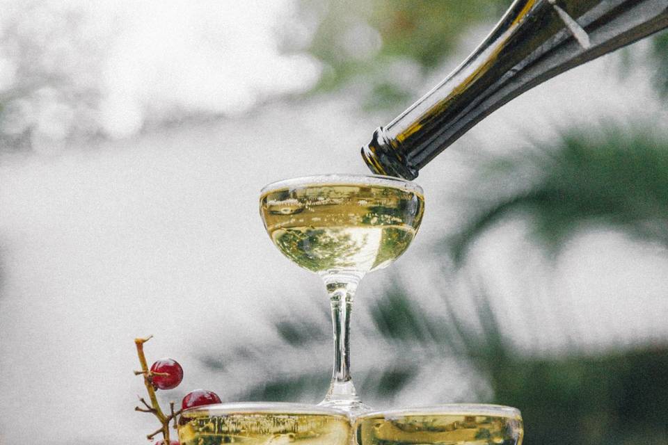 Nuestros brindis