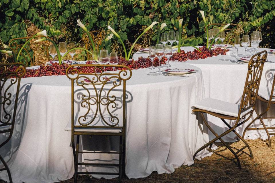 Banquete entre viñedos
