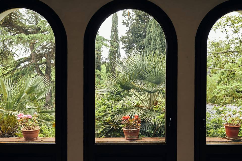 Galeria