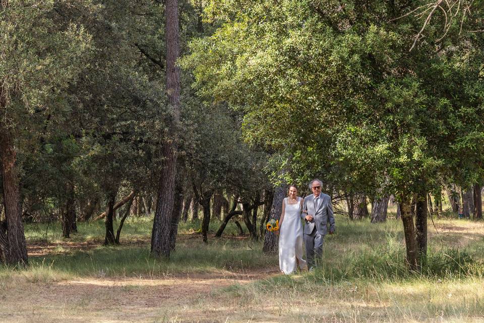 Boda Adriana + Maruan