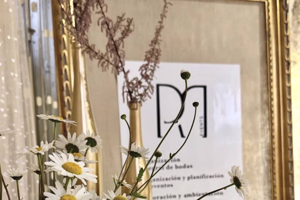 Identidad visual
