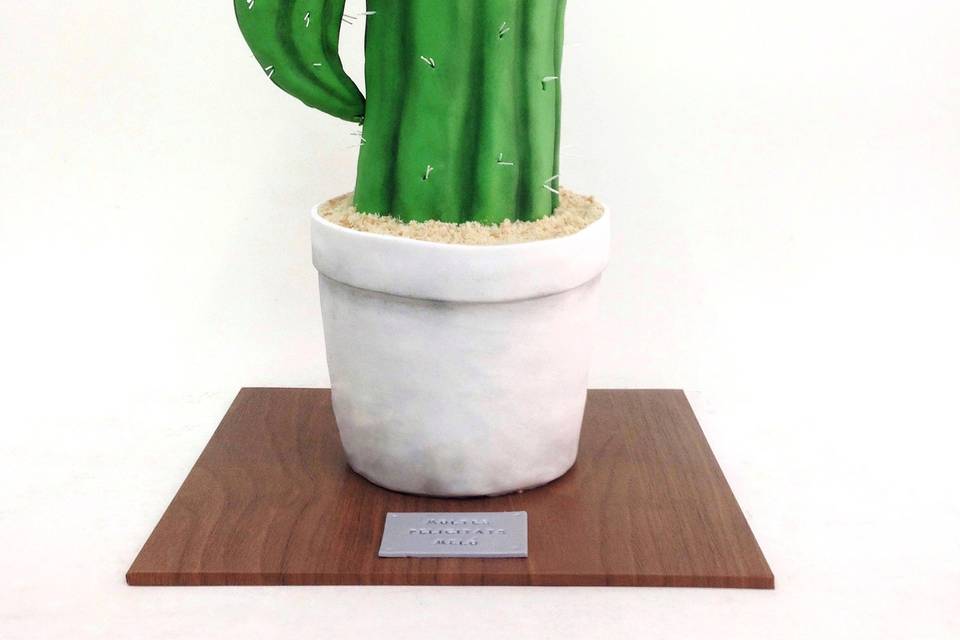 Catus Cake