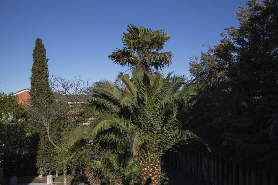 Jardín