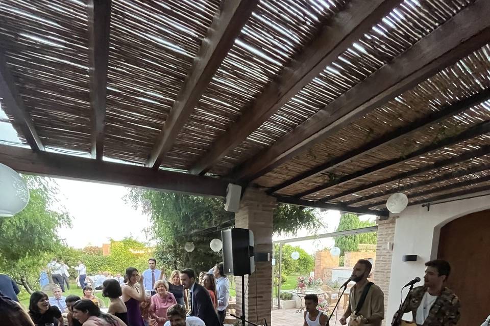 Bodas