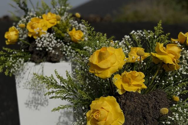 Rofe y Amarillo