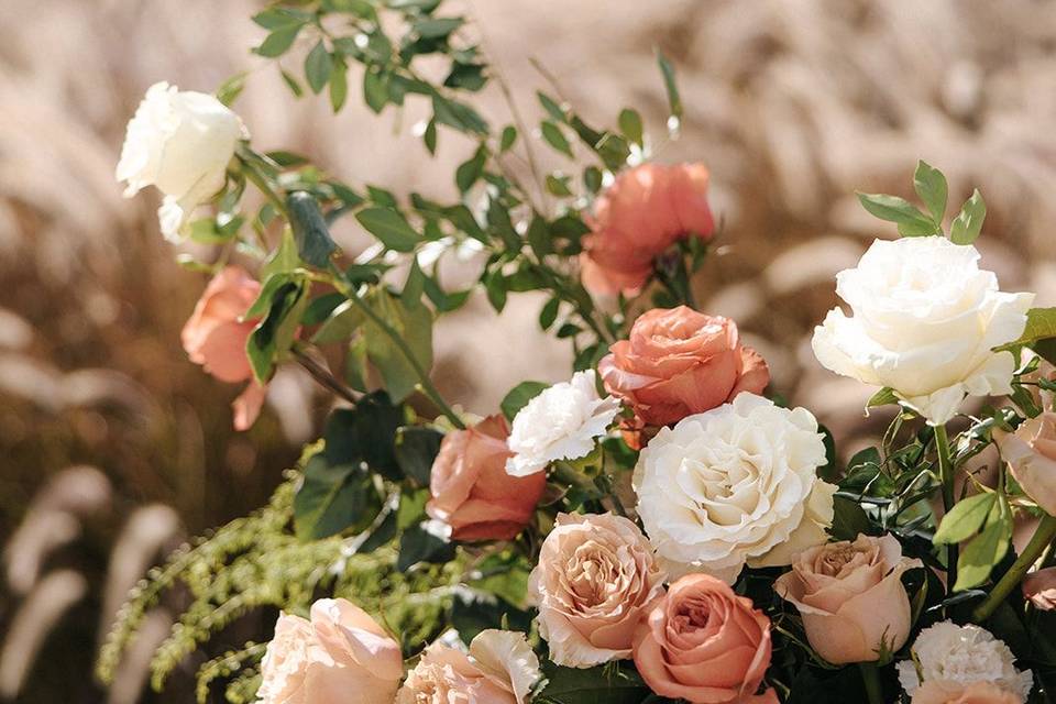 Rosas mude