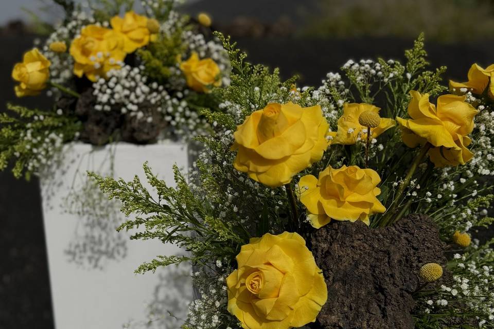 Rofe y Amarillo