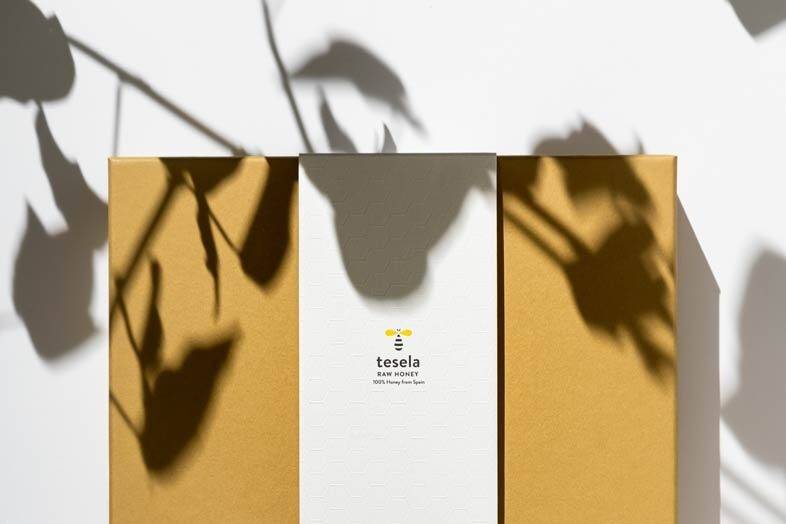 Estuche Premium