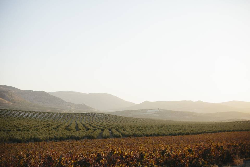 Cortijo desde 1929