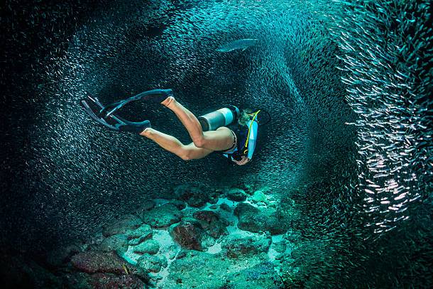 Buceo en Caribe
