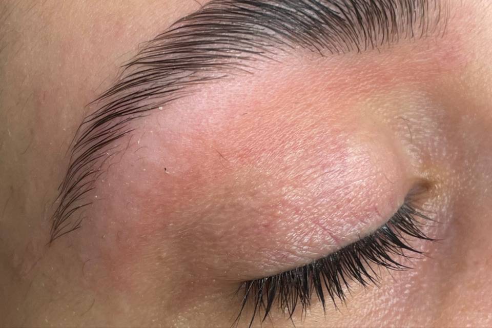 Laminado de cejas