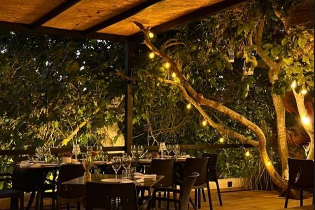 Jardin magico