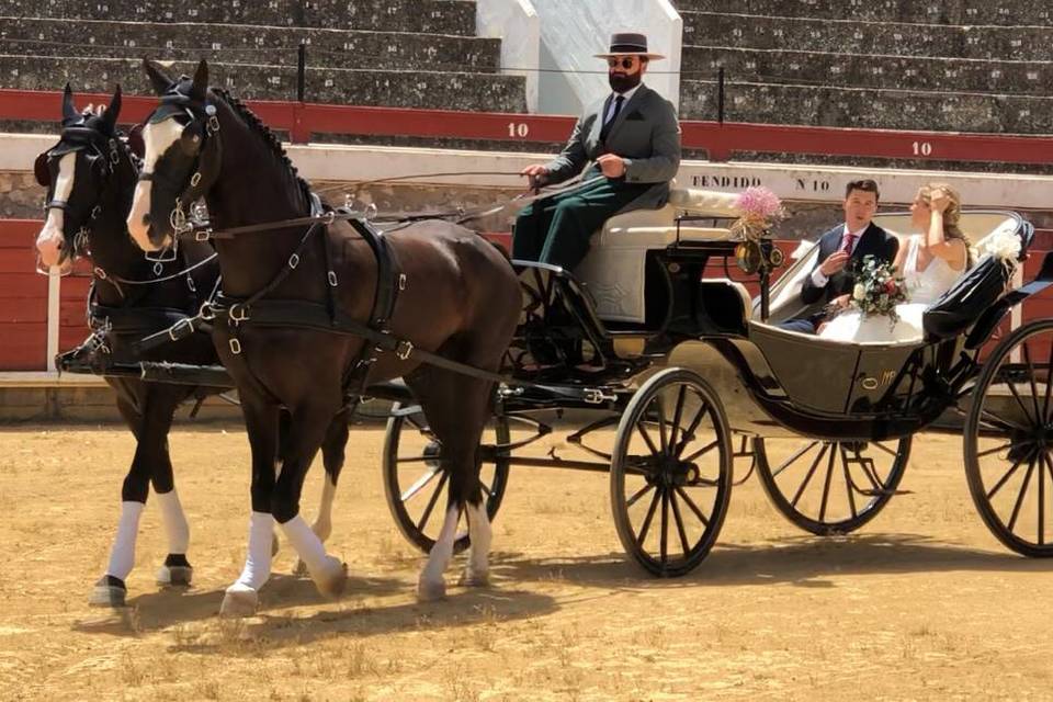 Paseo por la plaza de toros