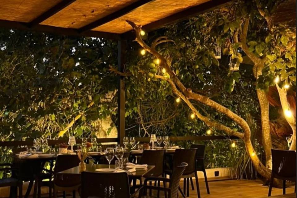 Jardin magico