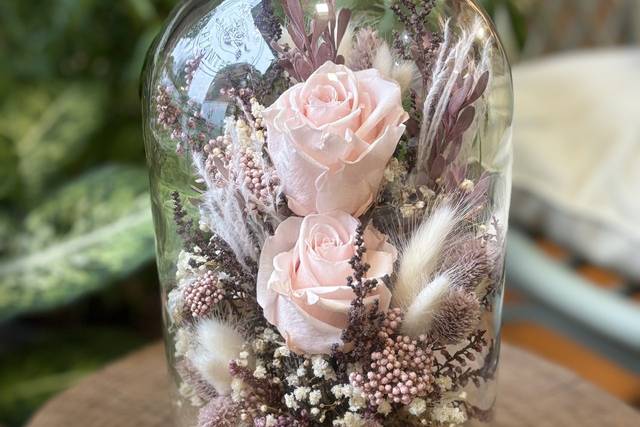 Cúpulas flor preservada