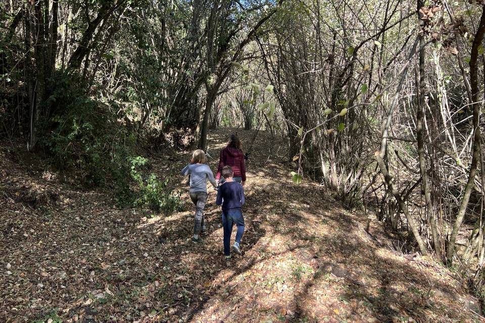 Caminos