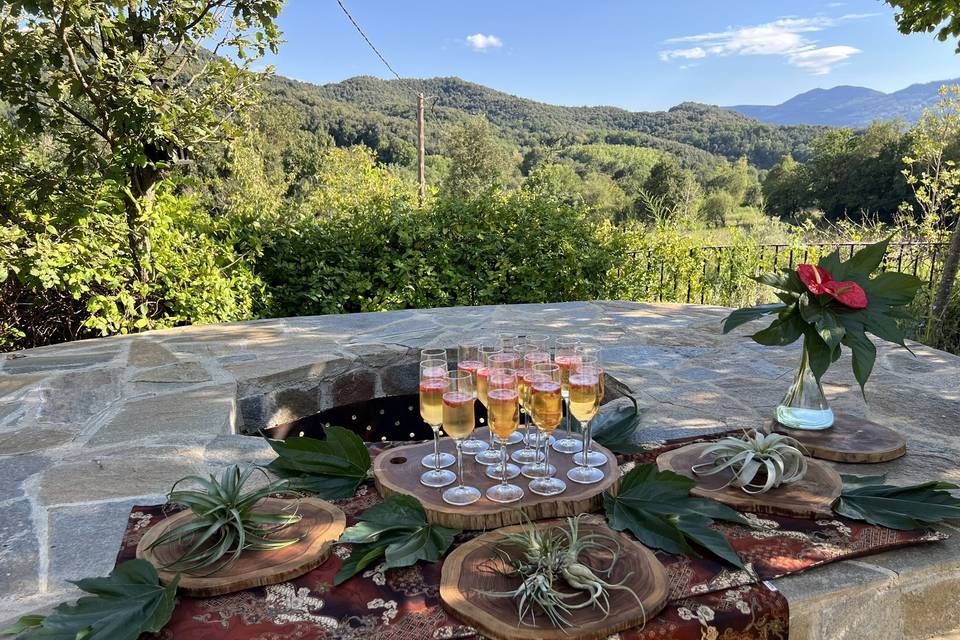 Brindis
