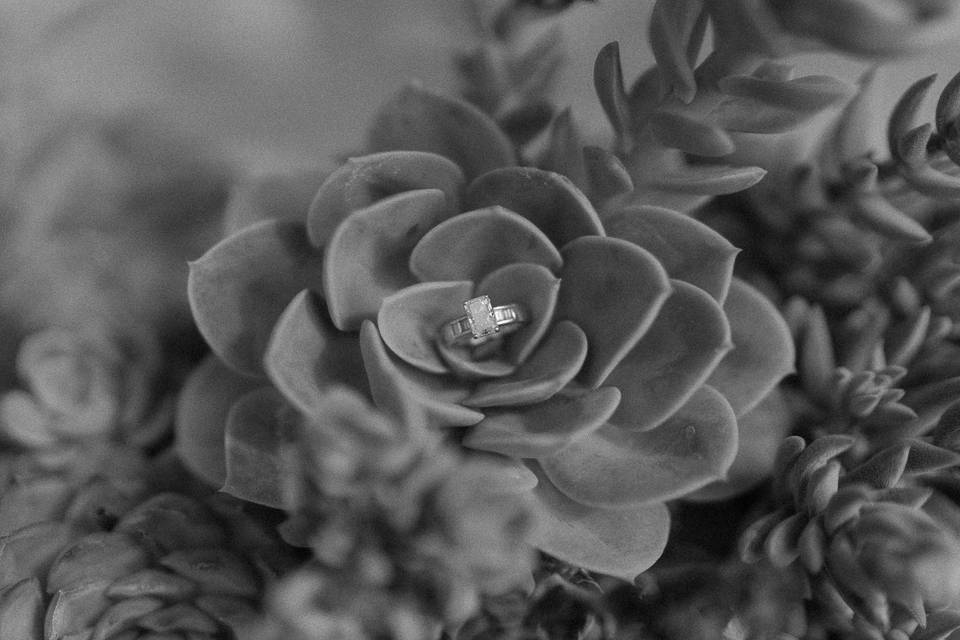 Detalles florales de la masía