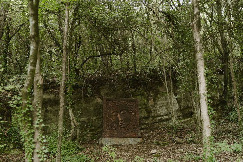 Zona Zen