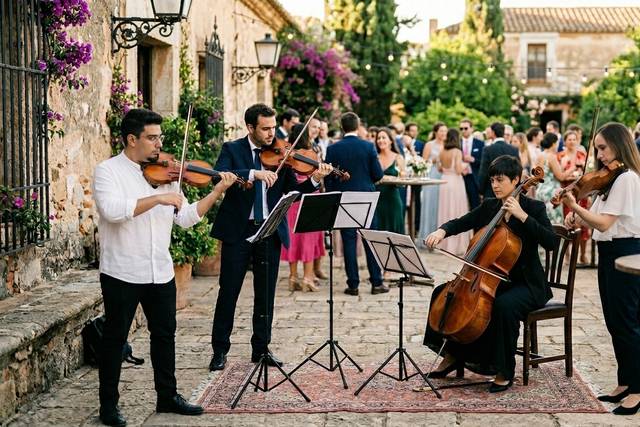 Meraki Music