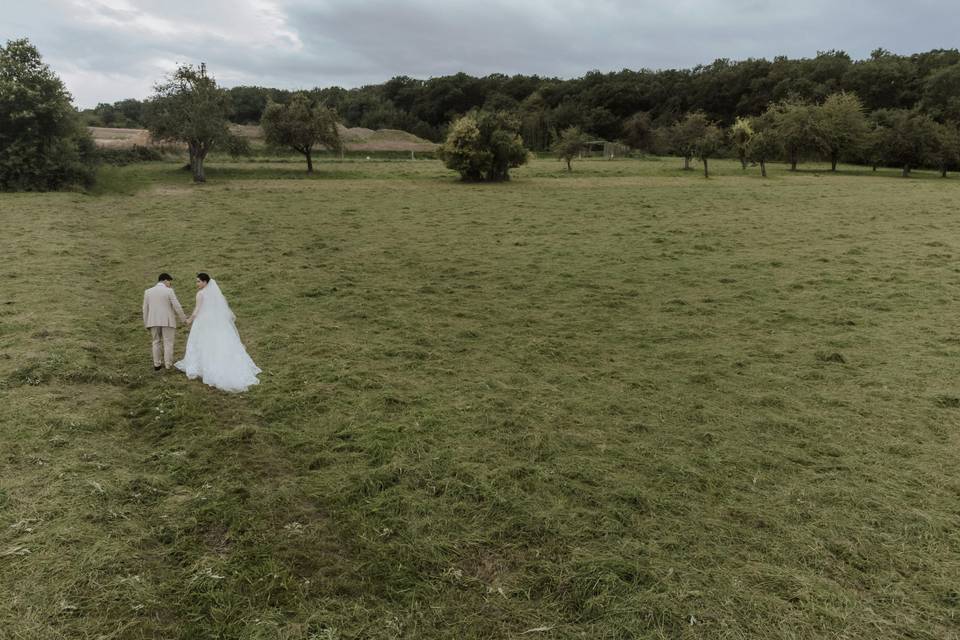 ALBA BARBARROJA