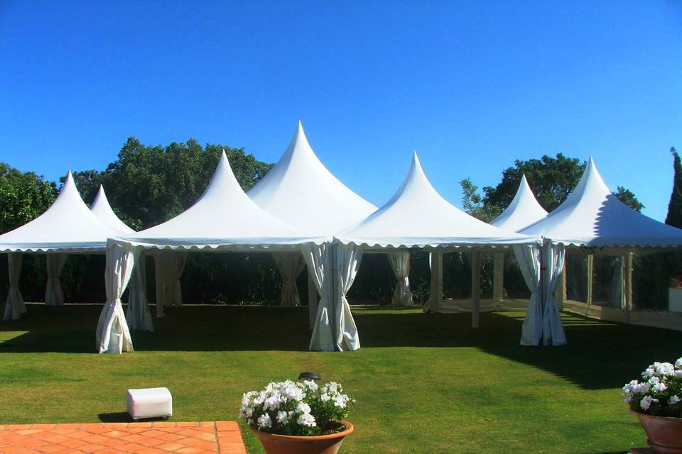 Carpas y Eventos