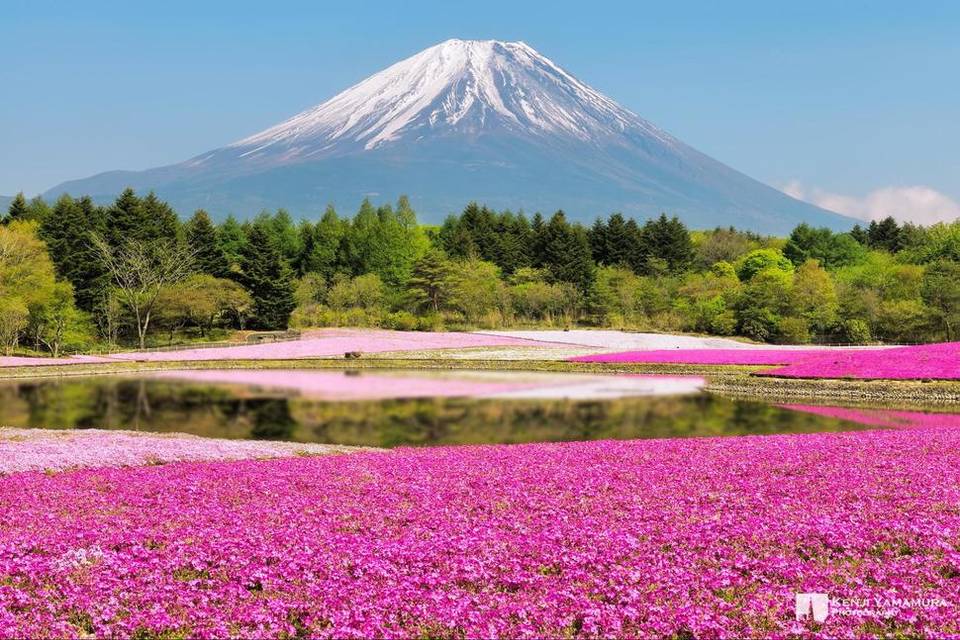 Naturaleza en estado puro