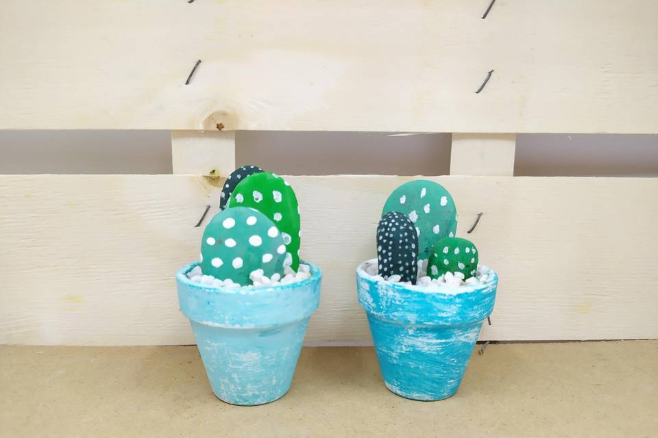 Cactus decorativo