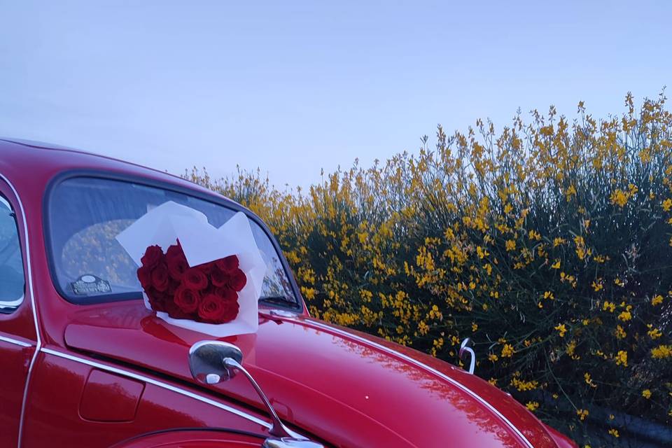 Volkswagen Escarabajo