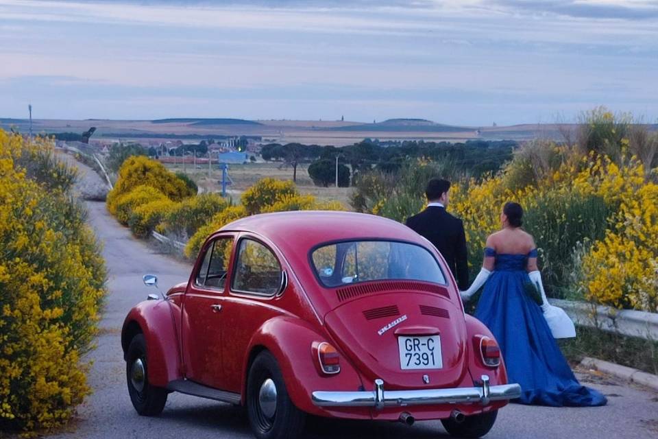 Volkswagen Escarabajo