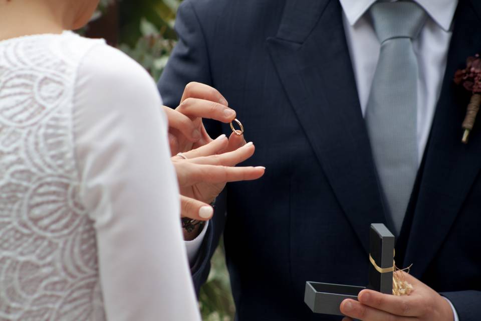 Anillos