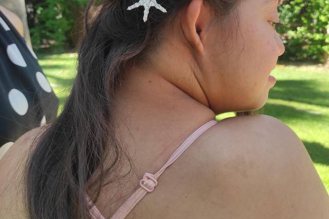 La hermana de la novia