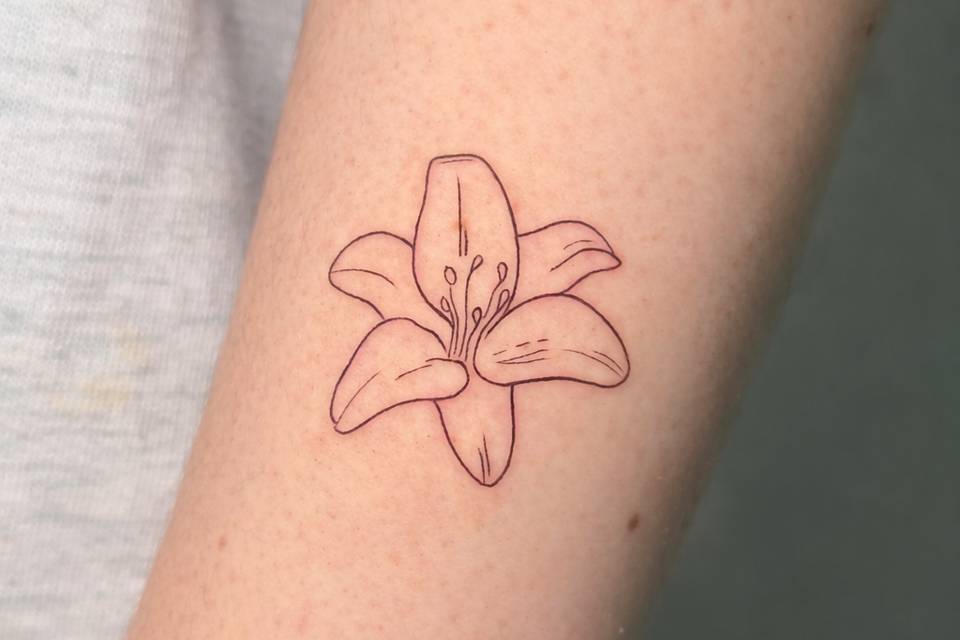 Seven Soul Tattoo Studio
